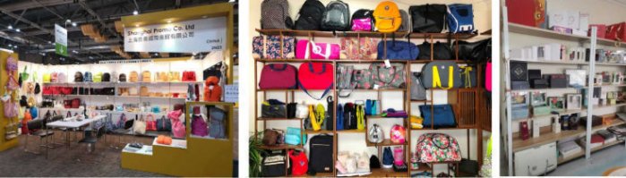 Functional enterprise promotion backpack for travel