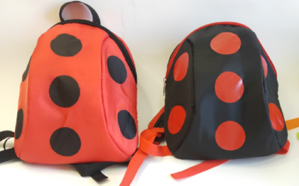 Functional enterprise promotion backpack for business use