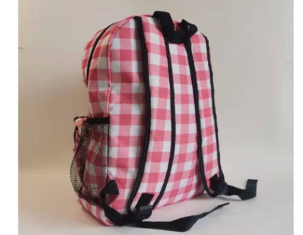 Functional enterprise promotional backpack for marketing campaigns