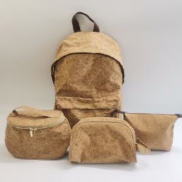 Promotional backpack for enterprises - modern look