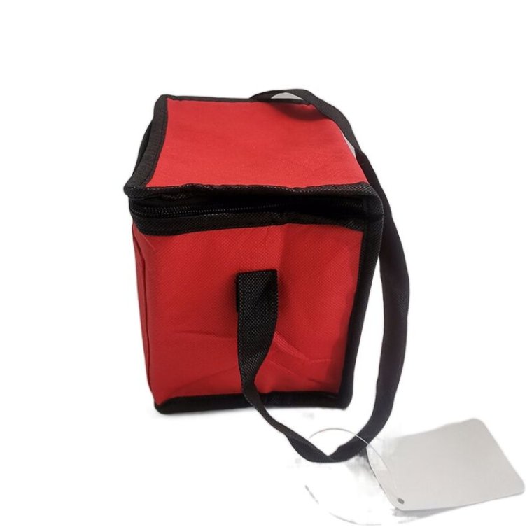 Promotional cooler bag with ice feature