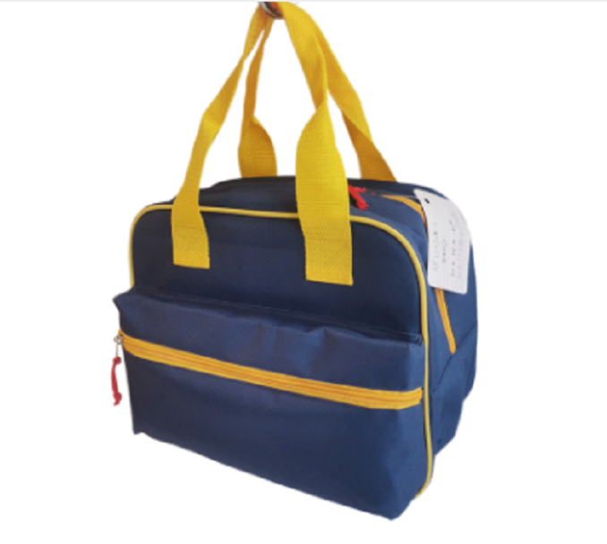 Product image of a versatile cooler bag for various uses