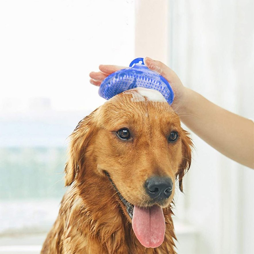 Professional dog grooming brush for shiny coat
