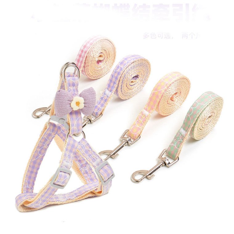 Comfortable pet leash for outdoor use