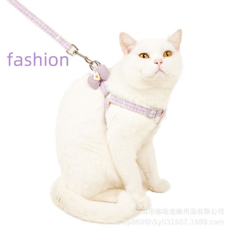 Stylish pet leash for fashionable pets