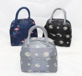Portable cooler bag with convenient design